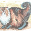 Кошка