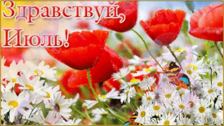 ПОЭТИЧЕСКАЯ ПЕРЕКЛИЧКА.ЗДРАВСТВУЙ ИЮЛЬ.