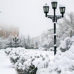 Вслед уходящему февралю...