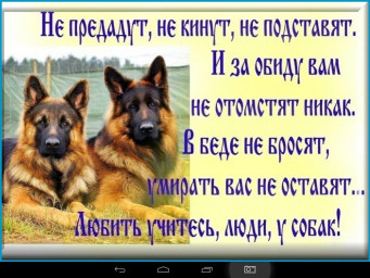 ПРАКТИКУМ ПО ПРОЗЕ. К МЕЖДУНАРОДНОМУ ДНЮ СОБАК.