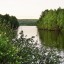 Своды высоких небес