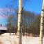 Статься мною