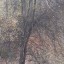 Подпись под фотографией. "До Весны..."