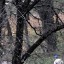 Проводник