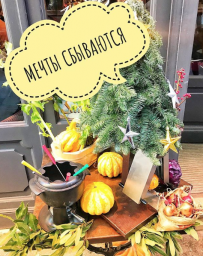 Мечты сбываются
