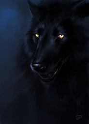 Антрацитовая ночь