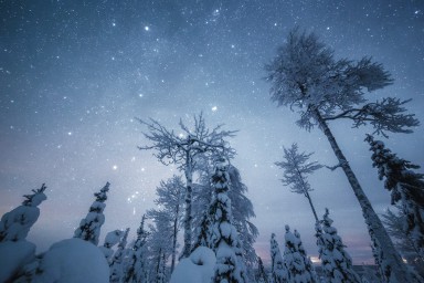 Ледяное царство Ледяное царство