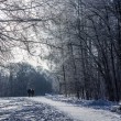 На ресницах серебрится иней