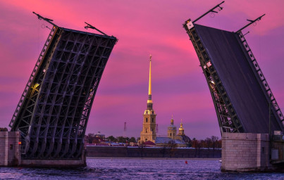 Петербургские коты