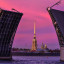 Петербургские коты