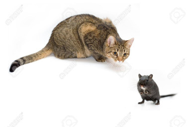 Котофеич