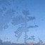 Копилка радостей