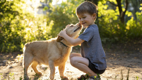 Лучший друг