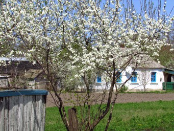 Весна на хуторе