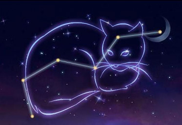 Памяти Муськи (вне конкурса)