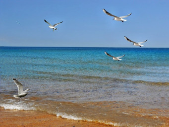 Отпуск на вкус и цвет