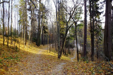 Осенняя прогулка