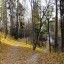 Осенняя прогулка