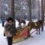 Любимая