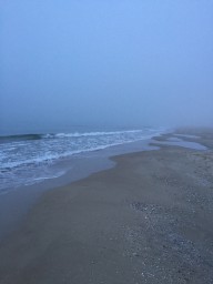 У моря