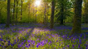 На конкурс «Викибудущее». Неиссякаемый родник знаний