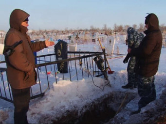 Горькая правда жизни…