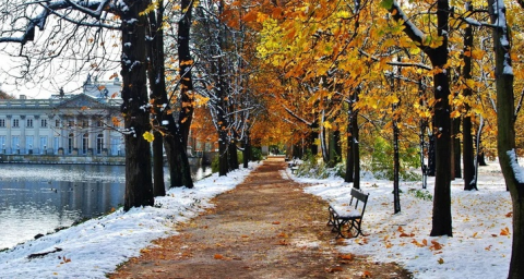 Поцелуй (55-словник)