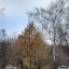 Несказанный ноябрь