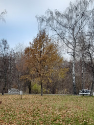 Несказанный ноябрь