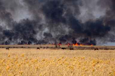 Мне вчера вдруг приснилась война