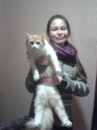 Кошка Бэлла Кошка Бэлла