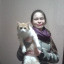 Кошка Бэлла