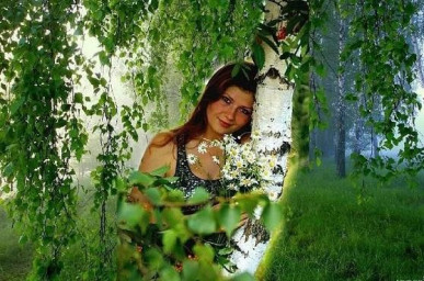 Кудри берёзки повислой