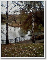 Время ноября