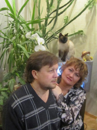 Почти по Пушкину