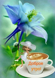 Доброе утро!