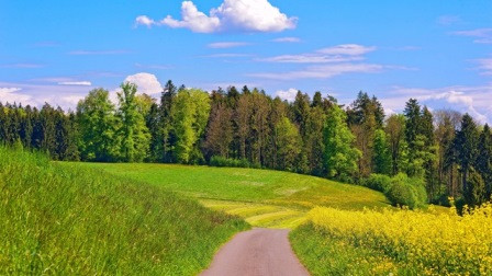 У дорог поёт криница...