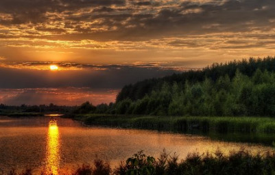 Густеет ночь над деревушкой...