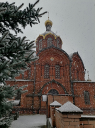 21ноября