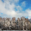 Крещение. 19 января. Мещера