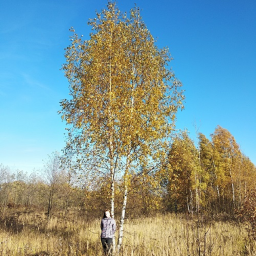 ​Жди, родная моя