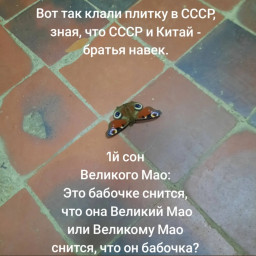 Русский с китайцем - братья навек! Русский с китайцем - братья навек!