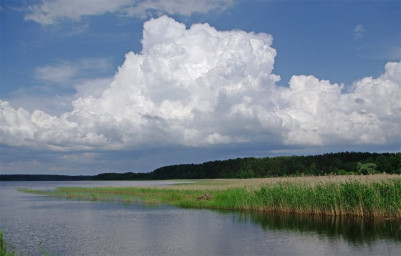 Басня НАПРАСНЫЕ МОЛЬБЫ