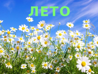 ЛЕТО ЛЕТО