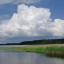 Басня НАПРАСНЫЕ МОЛЬБЫ