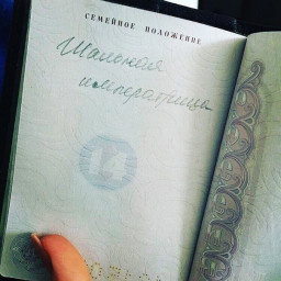 ШАЛЬНЫЕ ДРУЗЬЯ