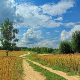 Дорога-дороженька