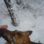 Братьям нашим меньшим