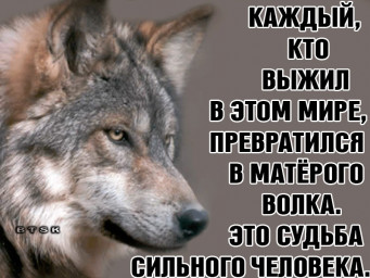 В чём моя сила?!