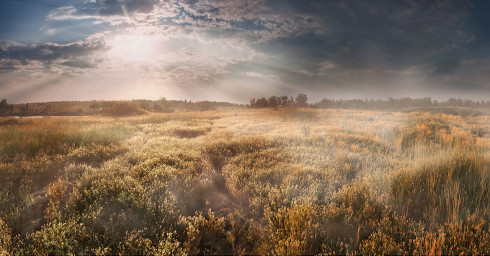 Осенняя степь